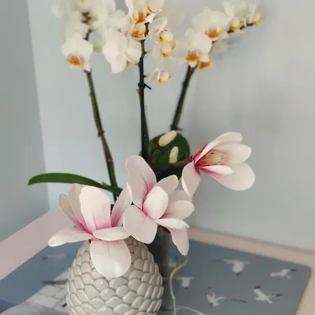 Apartamento Podczele 8a *