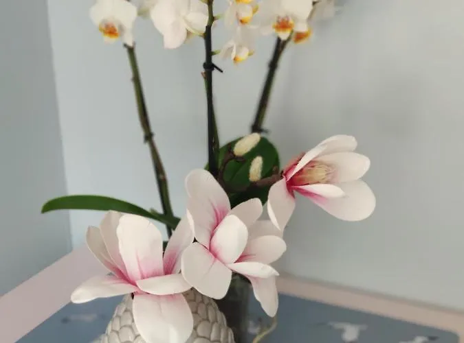 Apartament Podczele 8a *