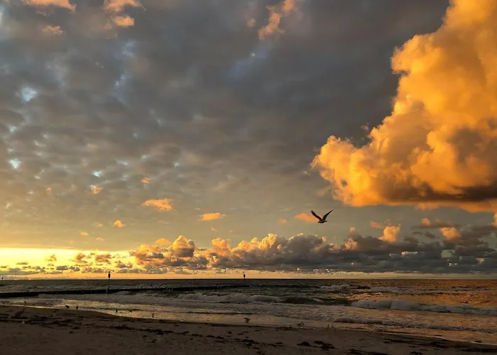 Podczele 8a * كولوبرزيغ